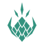 spec-icon:增辉